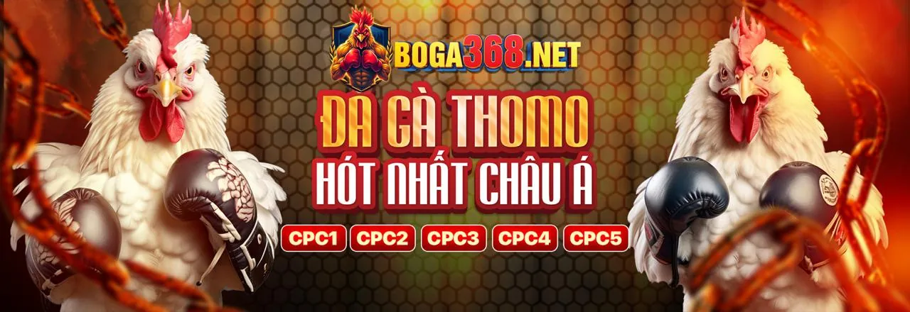 Hình ảnh banner chính trang Điều khoản dịch vụ của sic88 trang chủ chính thức